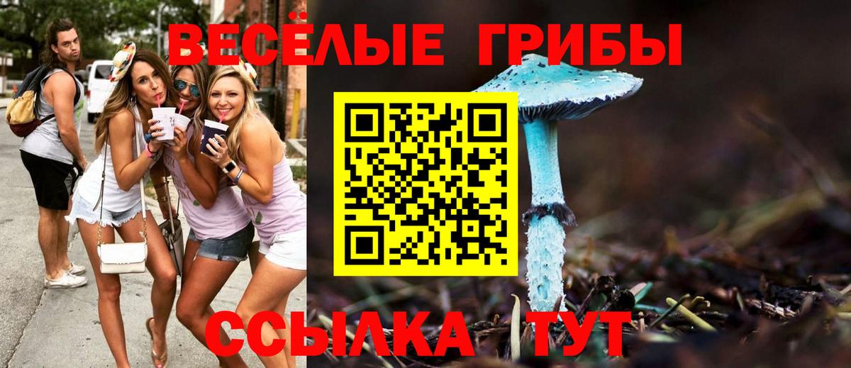 Псилоцибиновые грибы GOLDEN TEACHER Рузаевка