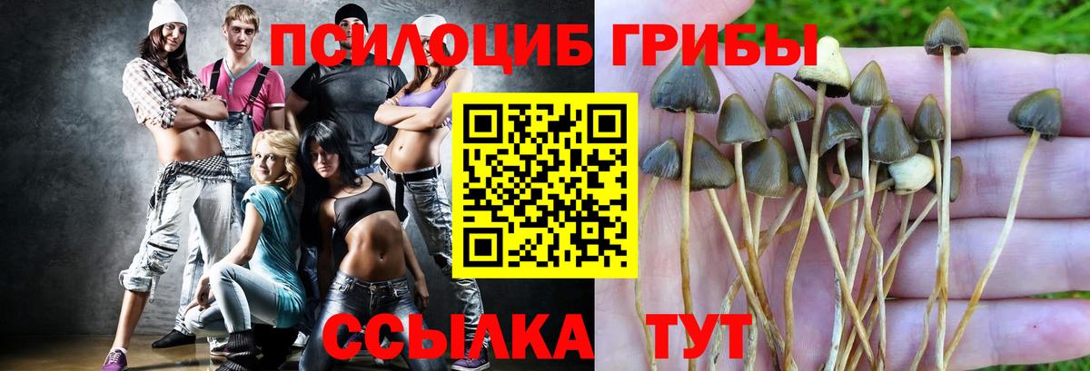 Галлюциногенные грибы GOLDEN TEACHER  купить  сайты  Рузаевка  Вход с VPN  Галлюциногенные грибы Magic Shrooms 